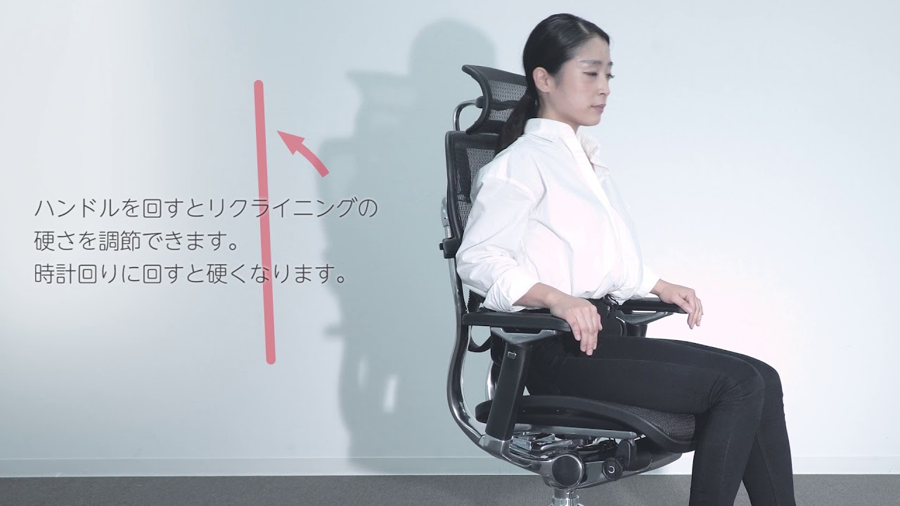 初代｜Ergohuman PRO Ottoman（プロオットマン） | エルゴヒューマン