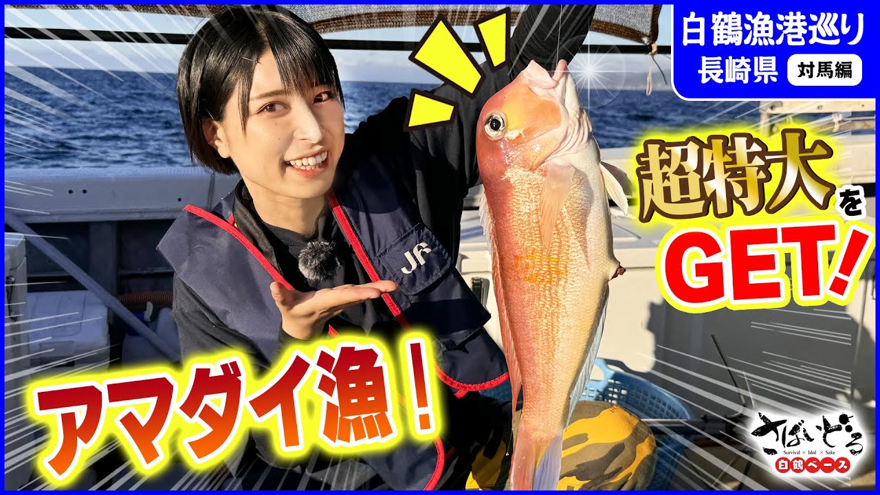 Get a super-sized fish! Fishing for tilefish in Tsushima! The