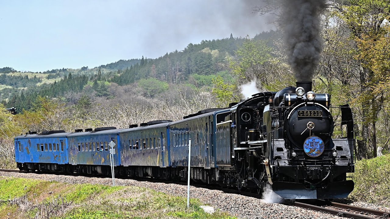 C58 239】新緑のSL銀河【釜石線】4K JR East Kamaishi Line SL Ginga