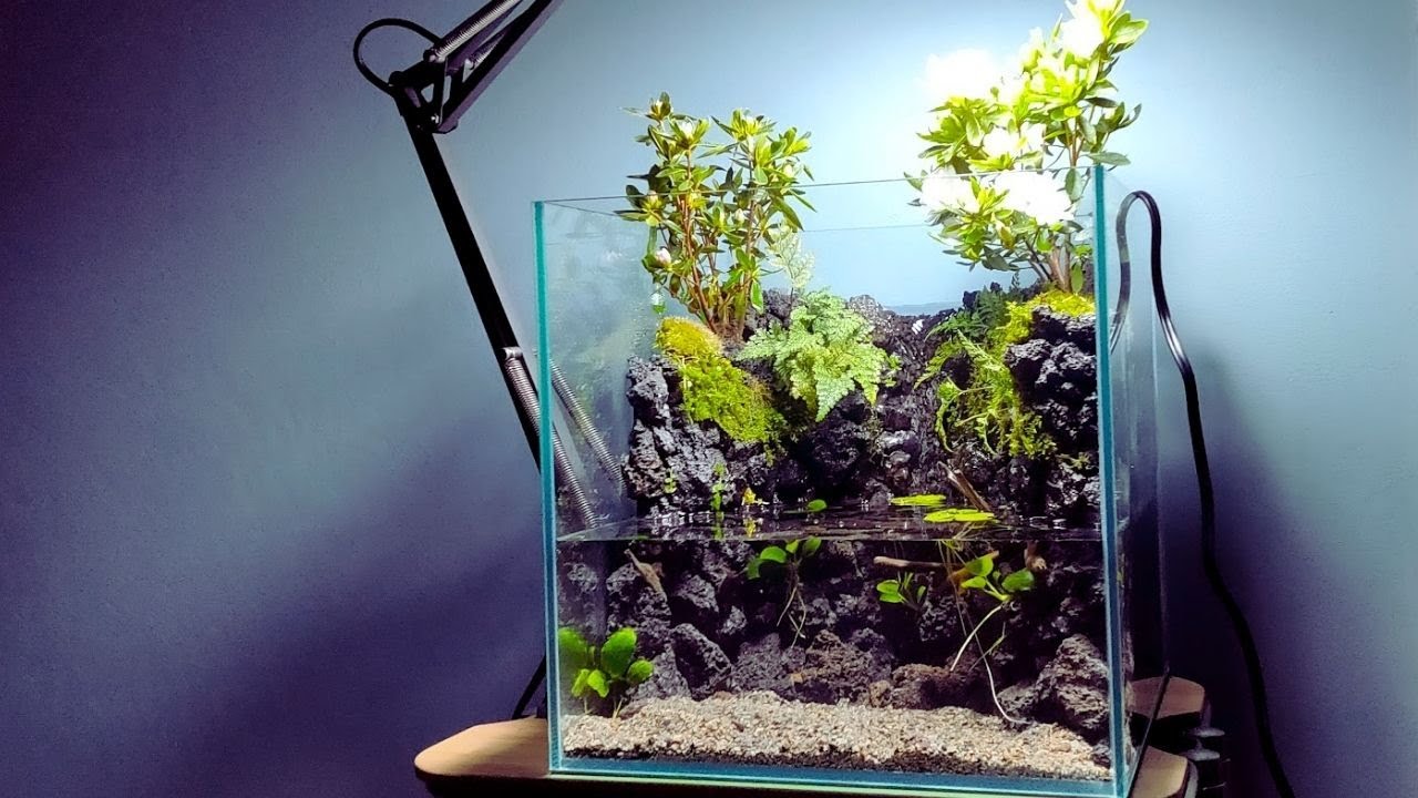 30cm cube aquarium] Reproduce the valley where flowers bloom with