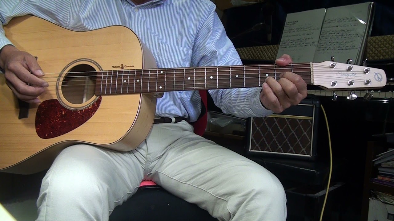 21.12 Seagull Amber Trail SG T35 試聴動画 281 - YouTube