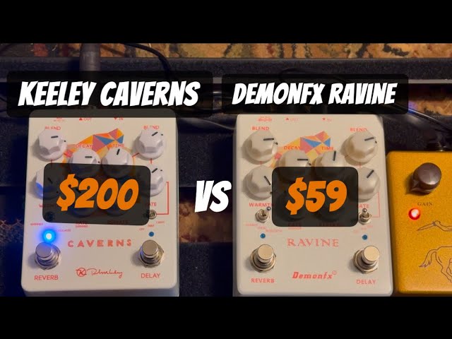 Budget ambience just got REAL! Demon FX Ravine Reverb Delay - YouTube