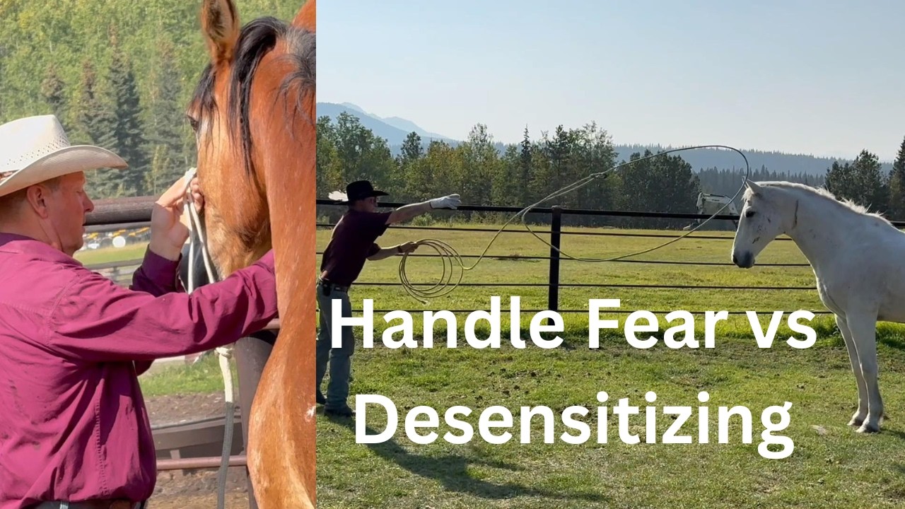 My Gift to You Fuku-chan #623 - YouTube