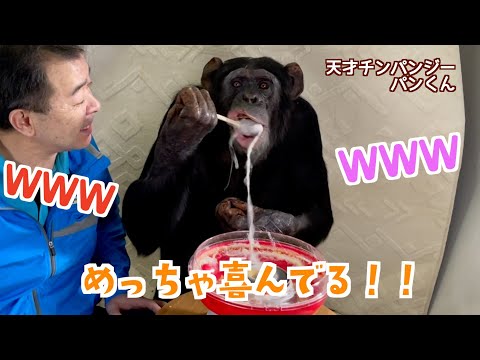 パンくん宮沢さんTV - YouTube