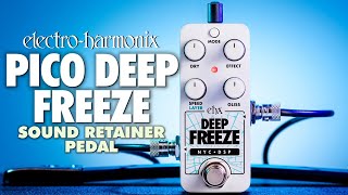 Electro Harmonix PICO DEEP FREEZE サウンドリテイナー サスティン