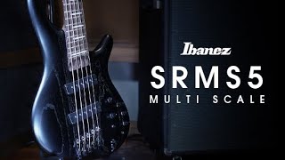 Bass Workshop” SR Prestige w/Multi Scale 