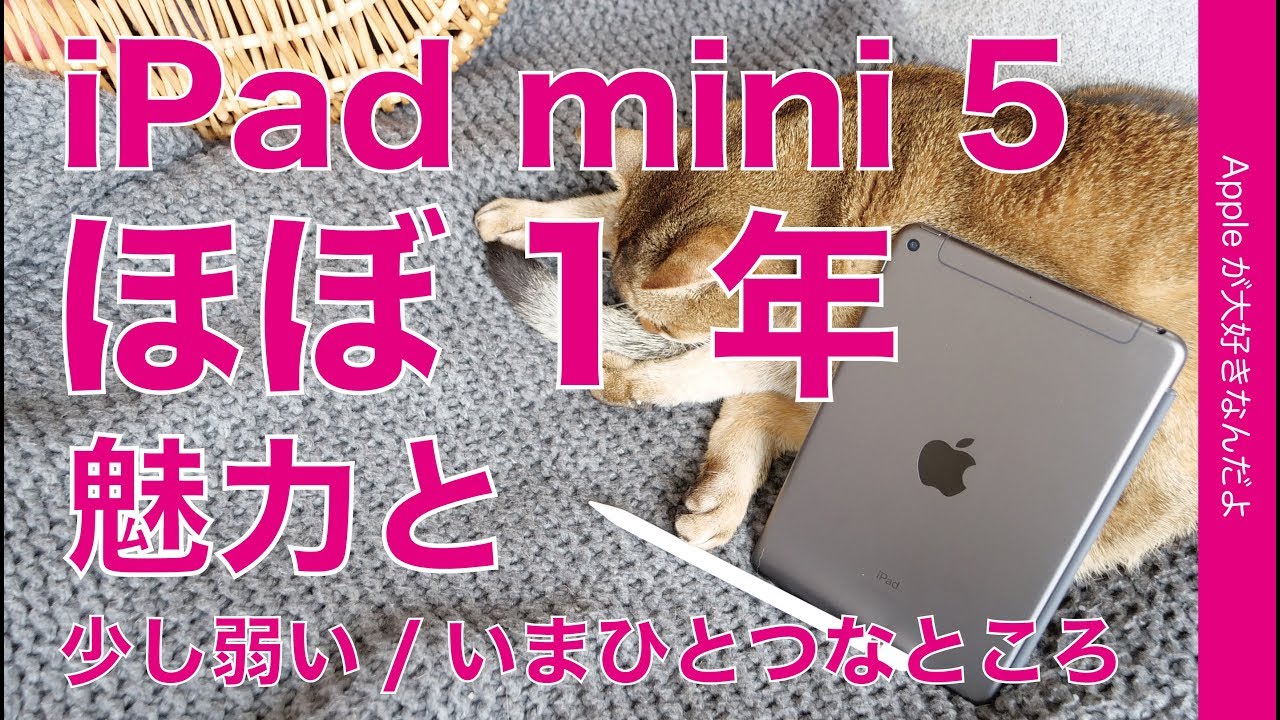 もうすぐ使用1年のiPad mini 5・沢山の魅力とやや弱いとこを再レビュー