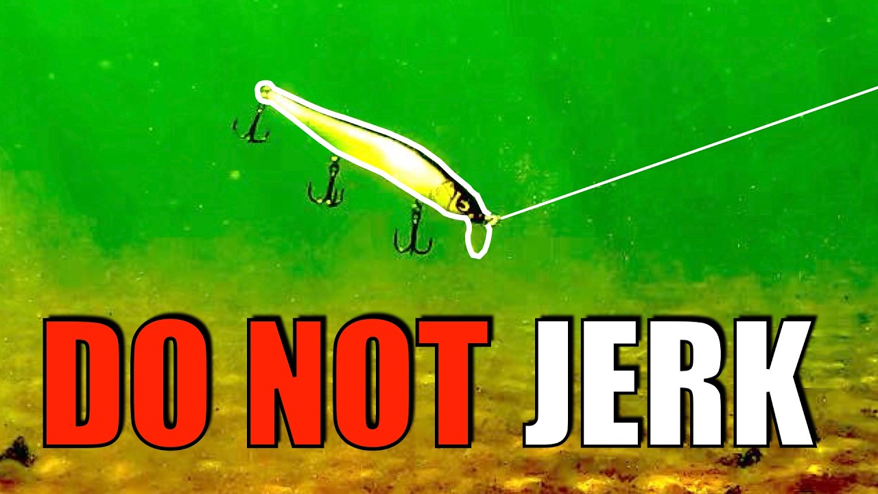 奥田学の次世代パワーベイトフィネスロッド「シマノ・NEWバンタム163ML