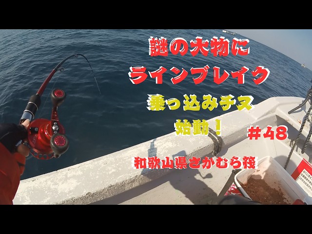 Black porgy fishing] I thought I'd snagged something, but the next