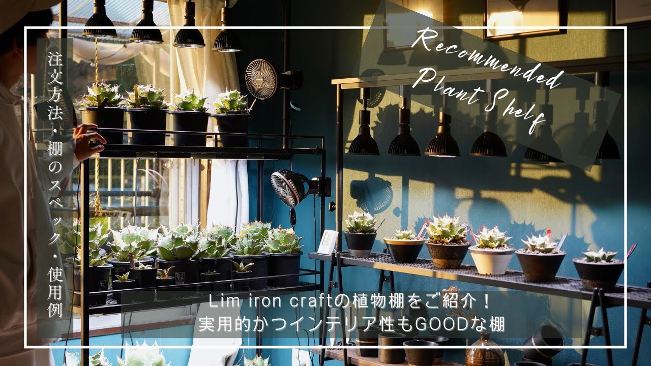 Lim iron craftの植物棚をご紹介！発注方法、棚の詳細、使用感をお伝え