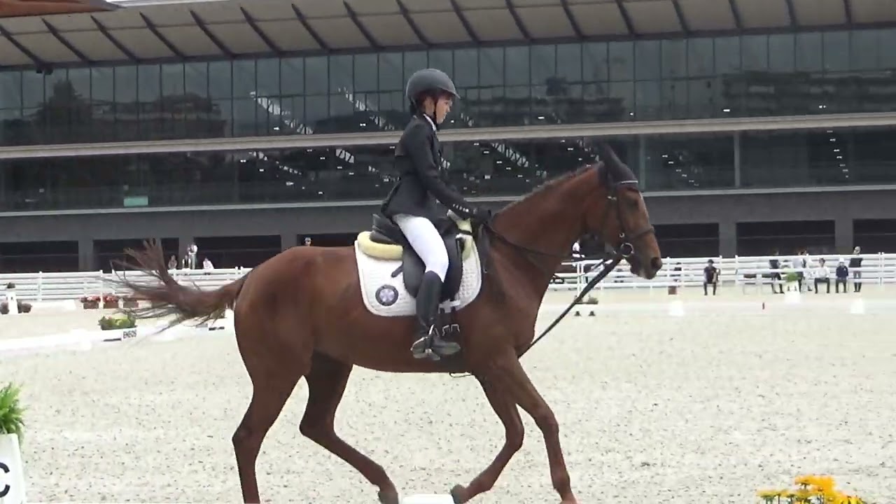 maxresdefault.jpg?sqp=-