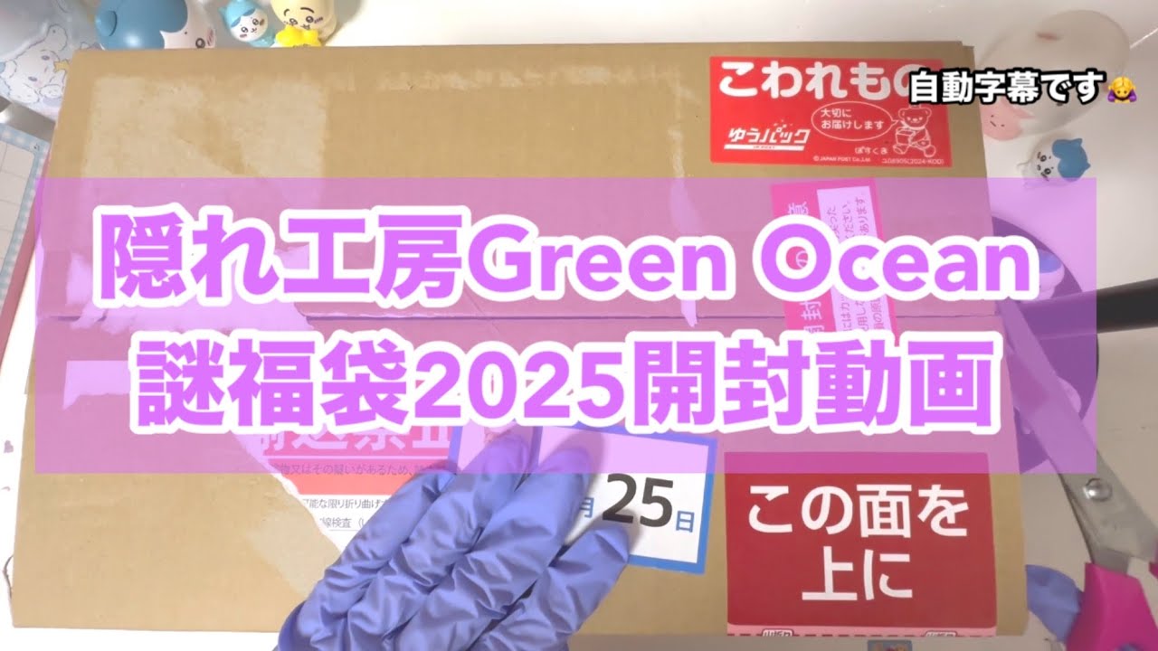 まったり】隠れ工房Green Oceanさんの謎福袋2025開封動画 #謎福袋
