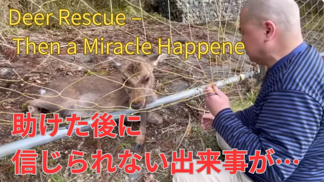 沼田義明 vs 小林弘 - YouTube