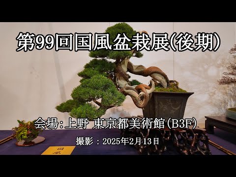 第99回国風盆栽展(後期 B3F) = 主催：日本盆栽協会 = [4K] The 99th
