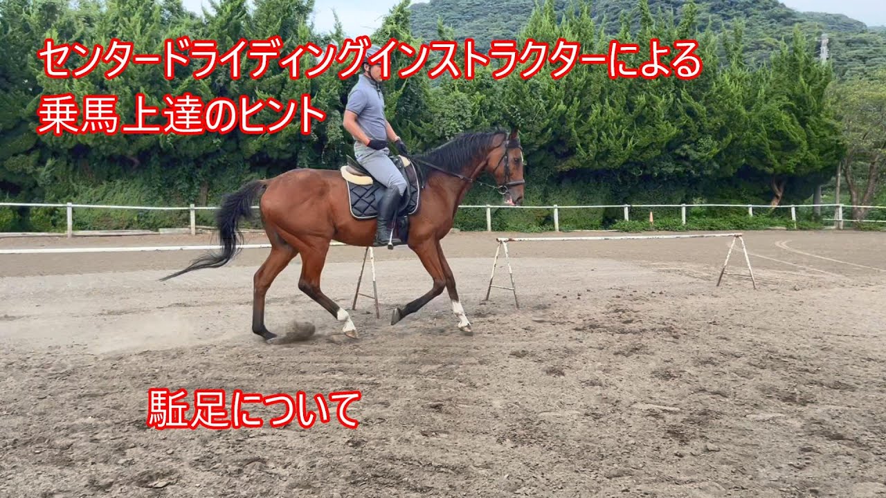 北原広之のドレッサージュレッスン Vol.1 馬場馬調教の6要素【リズム