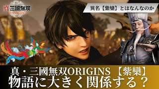 考察】主人公の異名「紫鸞」がもつ物語との関係性は？記憶喪失との関係