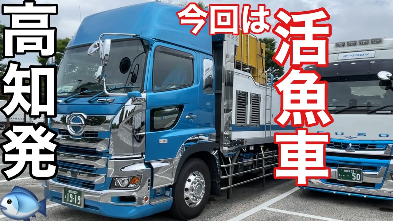 Long-distance truck driver] First live fish truck [From Kochi