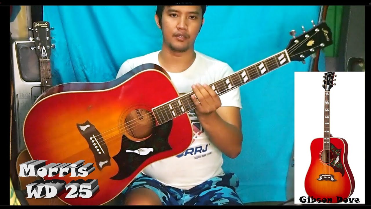150 USD Gibson Dove copy Morris WD 25 REVIEW - YouTube