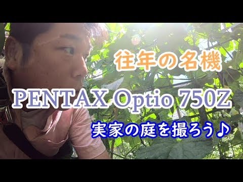 Playing with the classic PENTAX Optio 750Z in my parents' garden