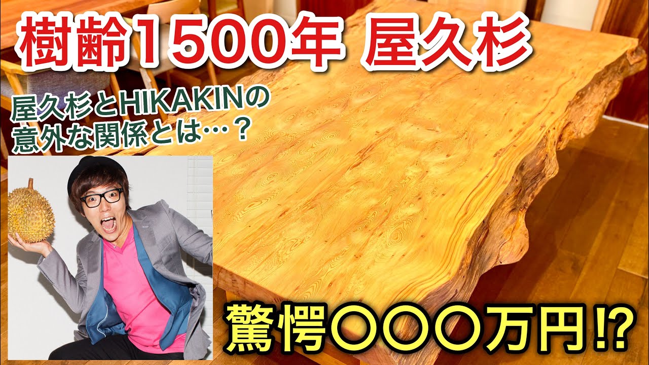 屋久杉特集①】 樹齢1500年の屋久杉一枚板テーブル/気になる驚愕のお