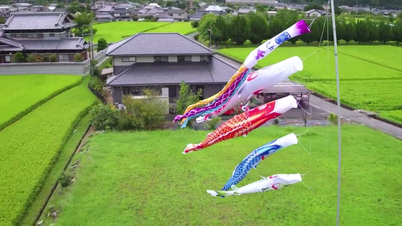 徳永こいのぼり 慶祝の鯉 吉兆7m 鯉4匹入り - YouTube