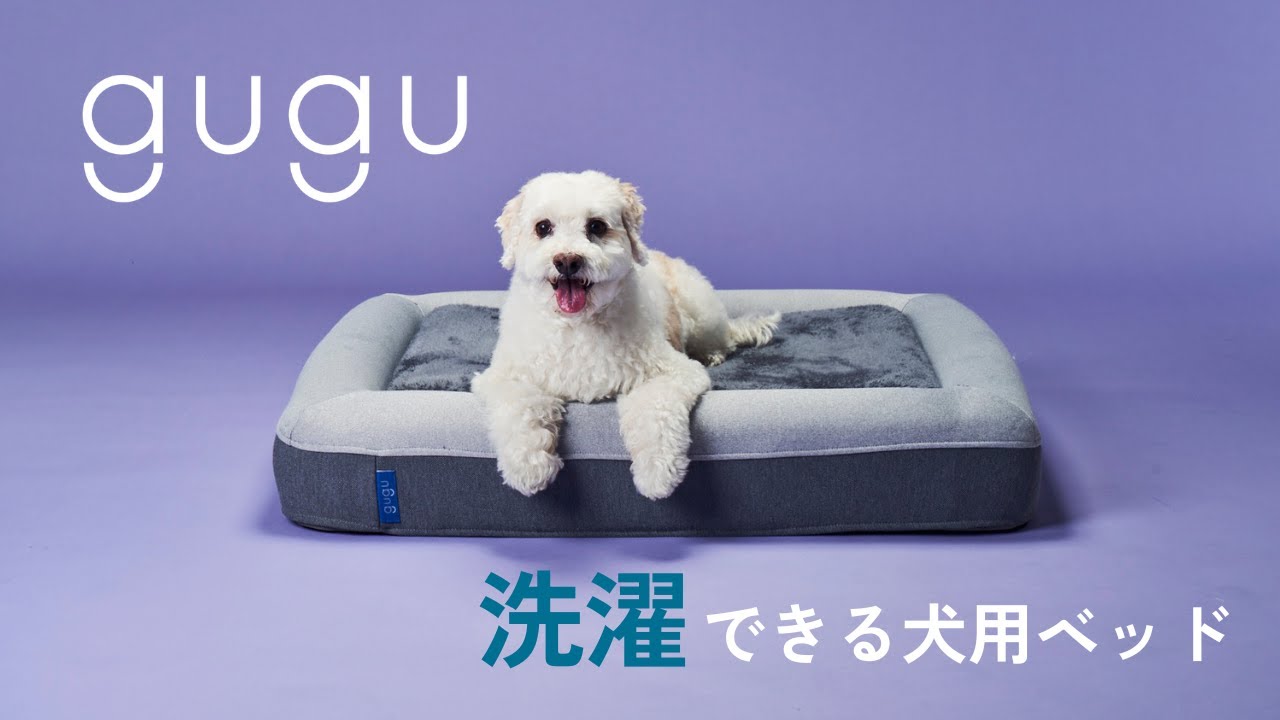 gugu ドギー 犬用ベッド グレー Lサイズ｜永久不滅ポイント・UC
