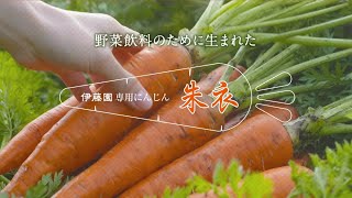純国産野菜 缶160g 30本入｜伊藤園の公式通販「健康体」