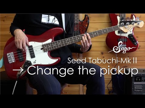 Seed Tabuchi-MkⅡに本家のコントロールとピックアップを付け替えて