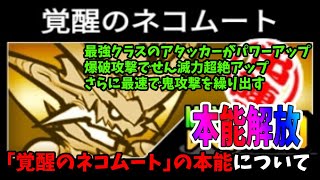 にゃんこ大戦争の「覚醒のネコムート」を本能含め評価【爆破攻撃追加に