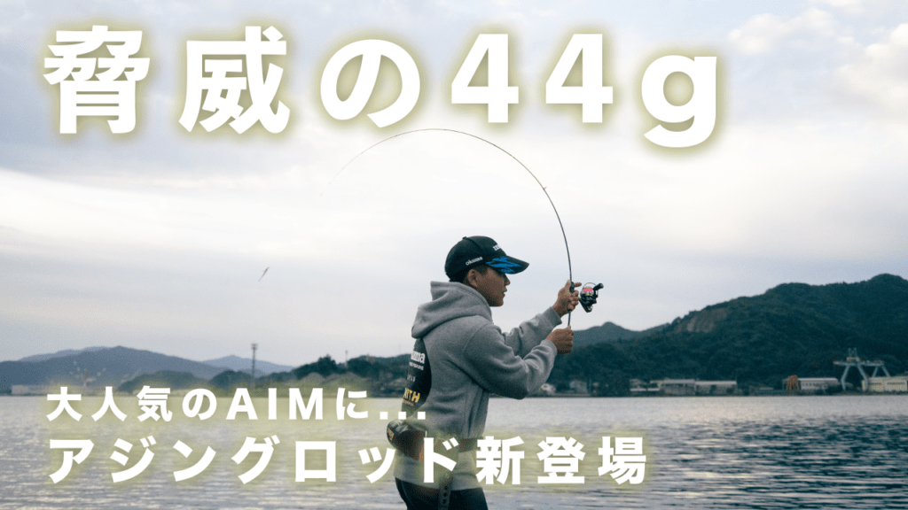 ライトなSWゲーム、最初の一歩に最適なロッド「AIM」 | 釣りの総合