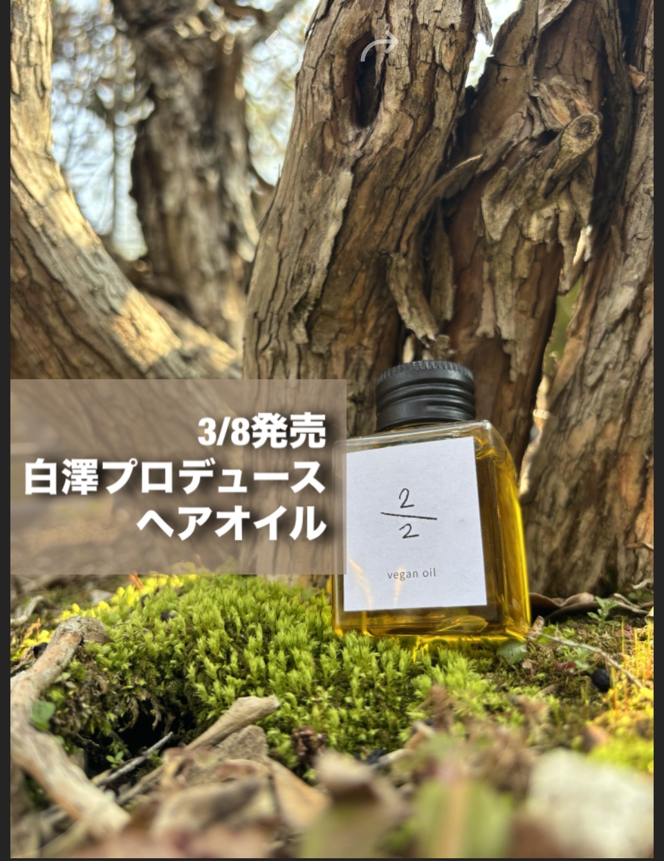 img_4968-1.jpg?resize=630,816&