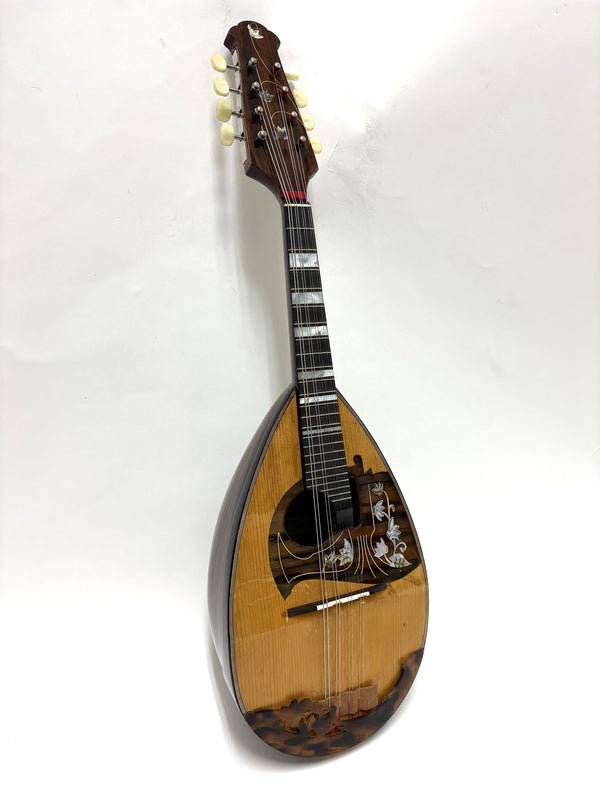 リユースマンドリン | マンドリンとギターの専門店 イケガク