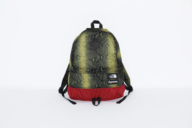 SupremeとThe North Faceのタッグよりスネーク柄を用いた最新コラボ