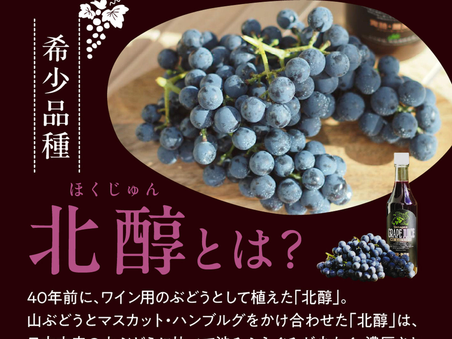 濃厚美味しい！上山・山ぶどう100％ジュース600ml×6本セット：山形県産