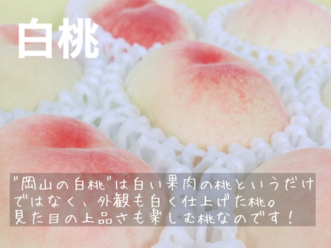 家庭用】夏を先取り！6月下旬～7月中旬の岡山の桃 小箱4～6玉