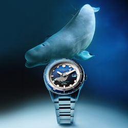 ヨドバシ.com - スピニカー SPINNAKER HASS AUTOMATIC WHALE SANCTUARY