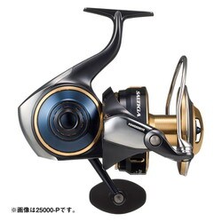 ヨドバシ.com - ダイワ Daiwa 大型スピニングリール 25ソルティガ