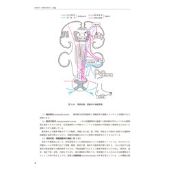 ヨドバシ.com - 新耳鼻咽喉科学 改訂12版 [単行本] 通販【全品無料配達】