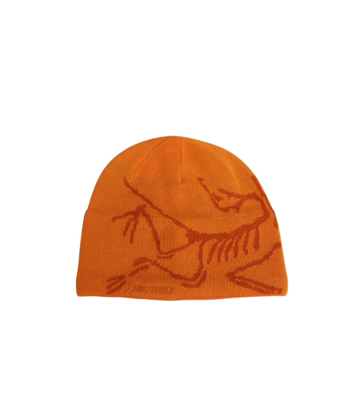 Bird Head Toque | ARC'TERYX(アークテリクス) / 帽子 ニットキャップ