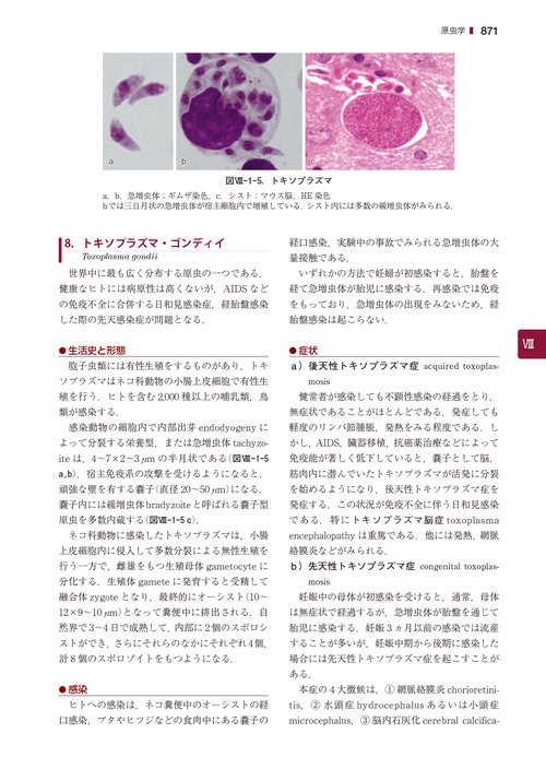 戸田新細菌学 – 丸善ジュンク堂書店ネットストア