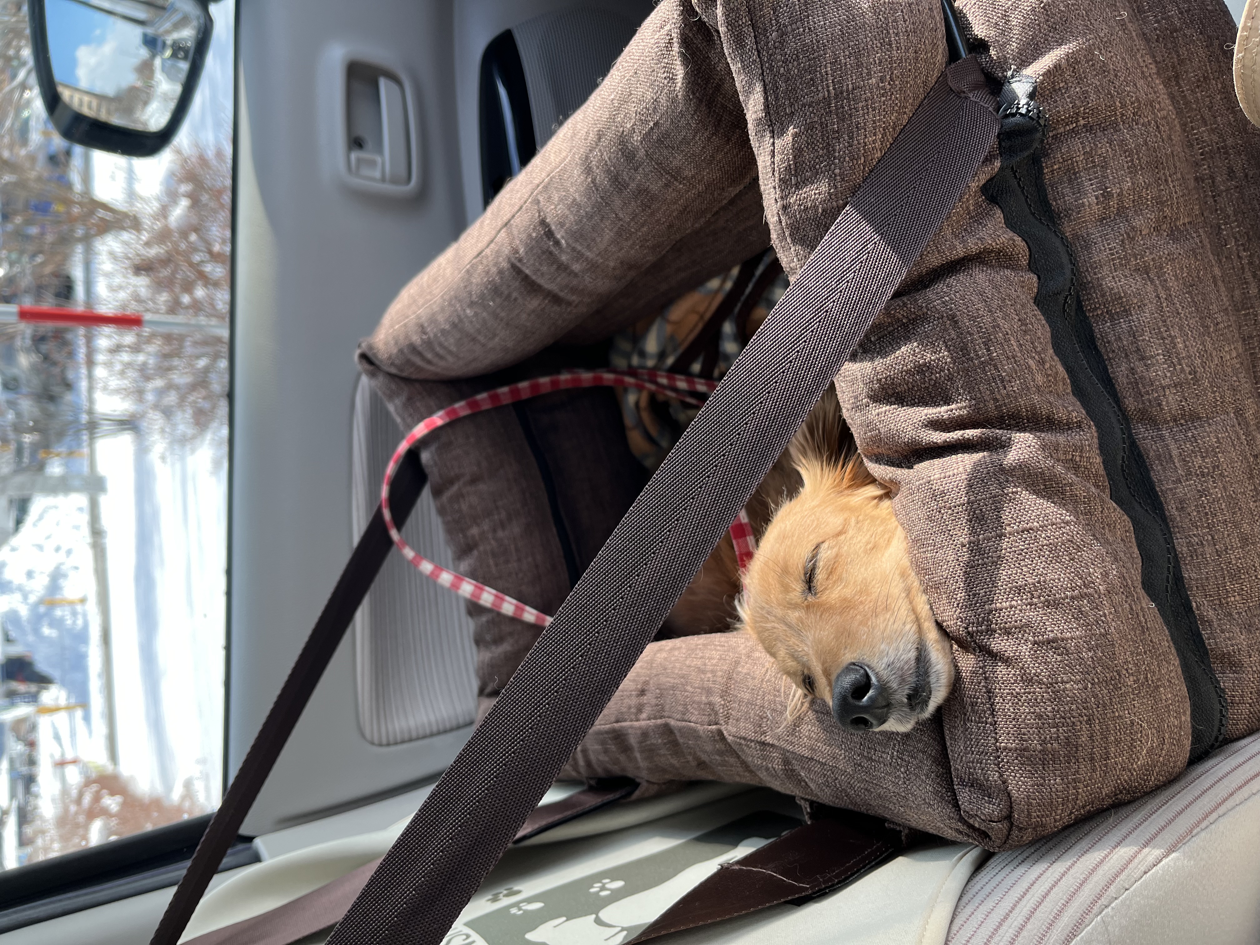 口コミ・レビュー｜座ったまま景色が見えるドライブボックス（旧