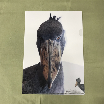 ハシビロコウグッズ | 神戸どうぶつ王国NS