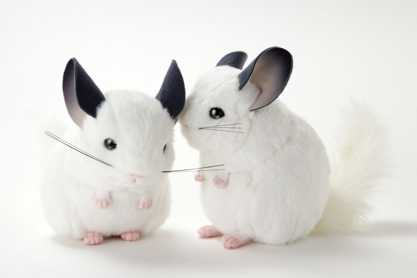 吉徳 チンチラのぬいぐるみ（白） | 生物園オンラインショップ