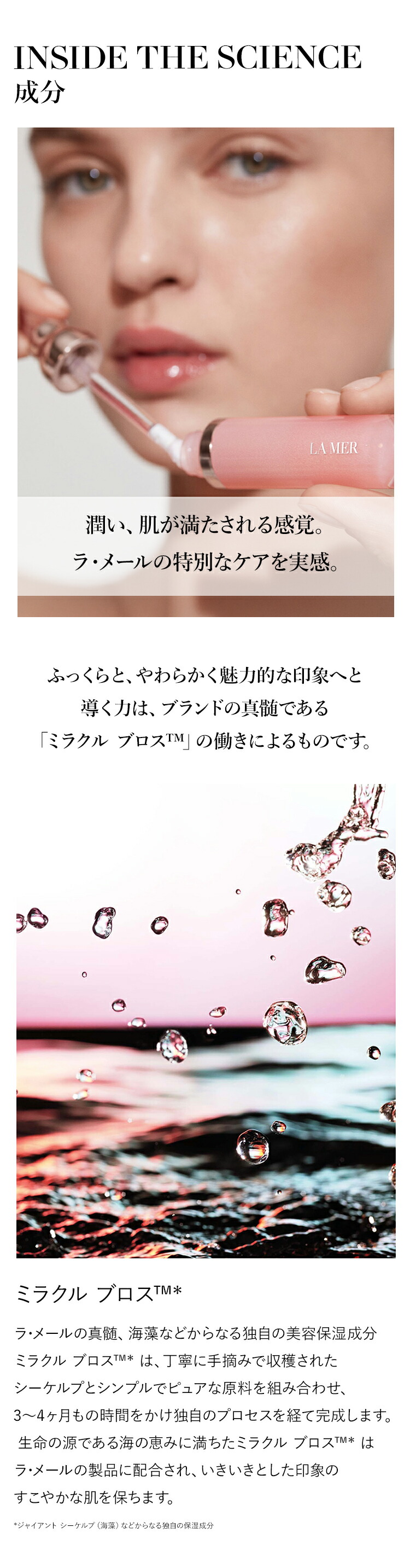 楽天市場】【ポイント10倍】さらにエントリーでポイント＋4倍| 3/4 20