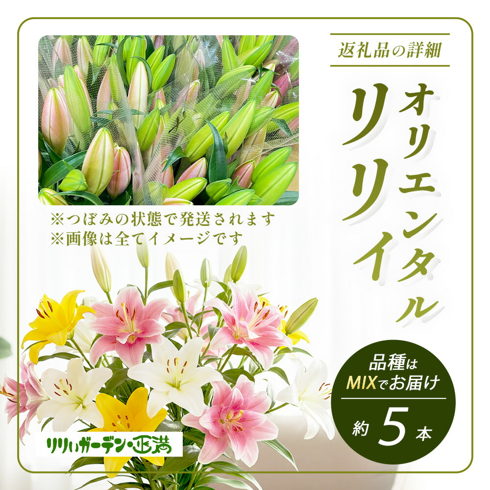 楽天市場】【ふるさと納税】☆5.0高評価 オリエンタルリリィ(約5本