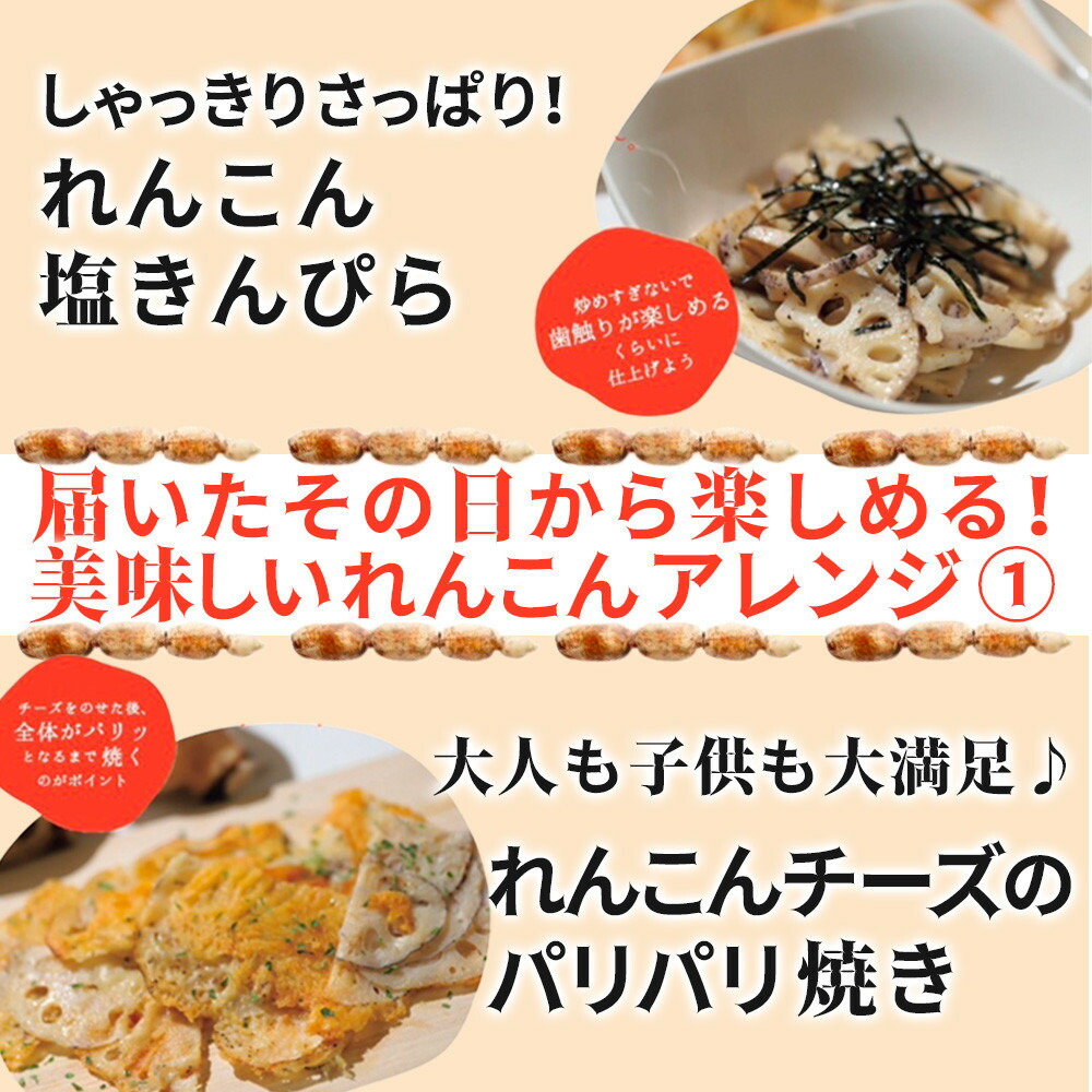 楽天市場】【ふるさと納税】レンコン 3kg 金澤美人れんこん 蓮根 野菜