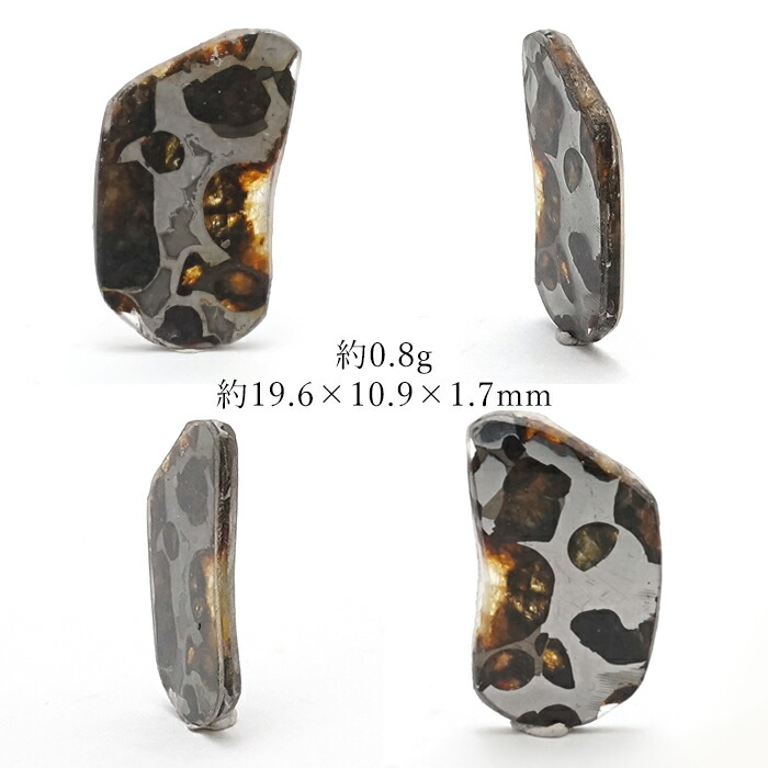 一点物】 セリコ隕石 ケニア産 パラサイト Serico meteorite Parasite