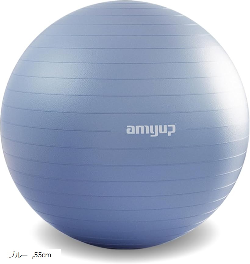 楽天市場】バランスボール 55cm 4色 厚み2.5mm 耐荷重約1700kg