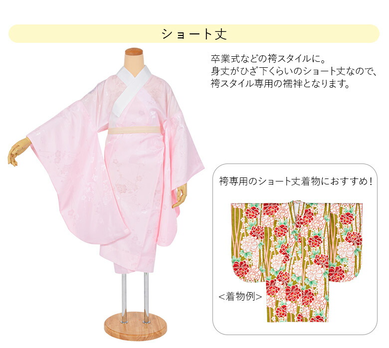 楽天市場】洗える 長襦袢 二尺袖用 バチ衿 袴用 卒服 綸子 半衿付き