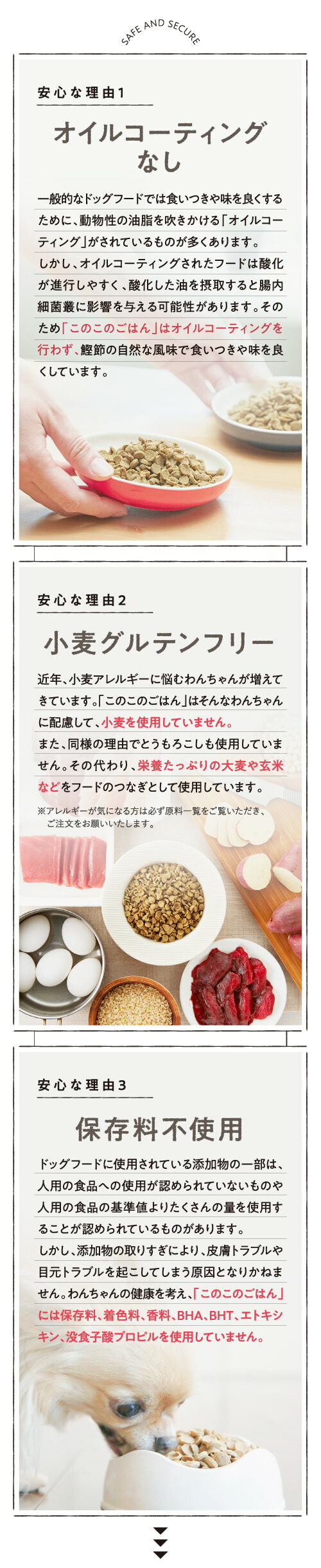 楽天市場】【 公式 】 このこのごはん ドッグフード 全犬種 全年齢